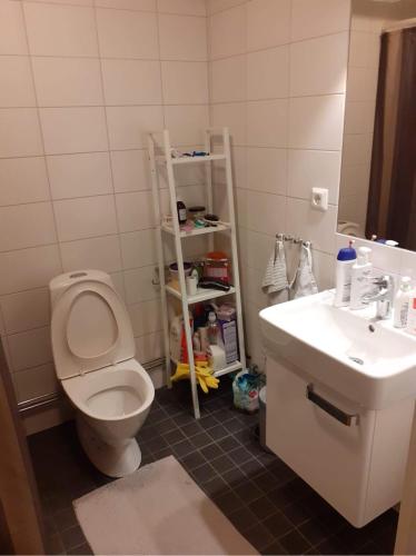 y baño con aseo y lavamanos. en Blessed home, en Estocolmo