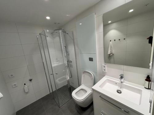 a bathroom with a shower and a toilet and a sink at New Modern Apartment in Central Jessheim in Jessheim