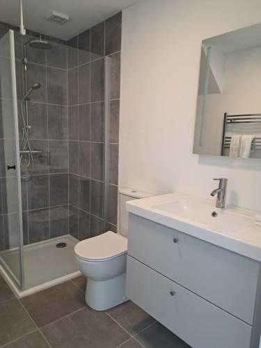 a bathroom with a toilet and a sink and a shower at Darrell Cottage in Kanturk