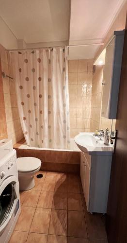 a bathroom with a toilet sink and a shower curtain at H&H cozy retreat ,Fireplace and Parking in Piraeus