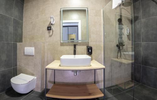a bathroom with a sink and a toilet and a mirror at Hotel Sistems in Banja Luka