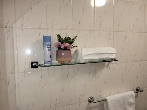 a bathroom with a shelf with a plant and towels at Apartment on MR103 in Mbabane
