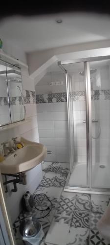 W łazience znajduje się umywalka i prysznic. w obiekcie Manoir de la Saône w mieście Seurre
