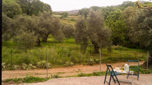 a table and chair in a field with trees at Drys Stone House in Miriokéfala