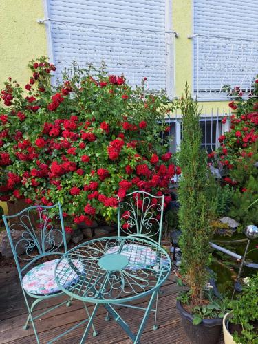 two chairs and a table in front of red flowers at Nensi in Ehekirchen