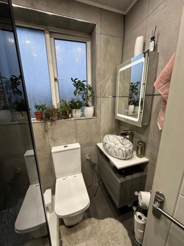ein Badezimmer mit einem WC und einem Waschbecken sowie zwei Fenster in der Unterkunft Sam in Bolton