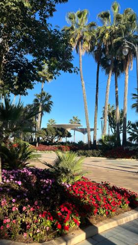 a park with flowering plants and palm trees and flowers at Casa San Miguel in Estepona