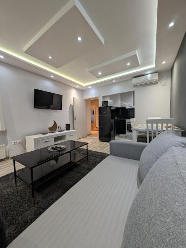 a living room with a couch and a tv on a wall at Top Belgrade Apartments in Belgrade
