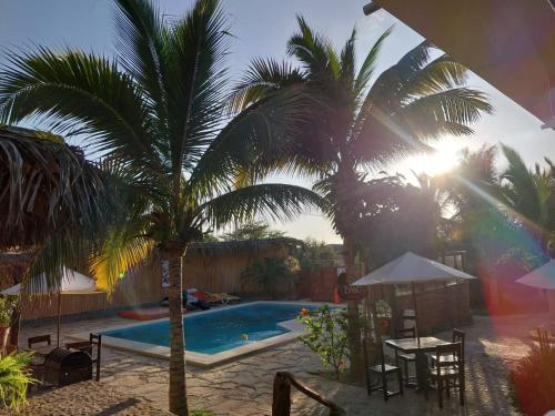 a pool with a palm tree and a table and chairs at Habitaciones en Vichayito in Vichayito