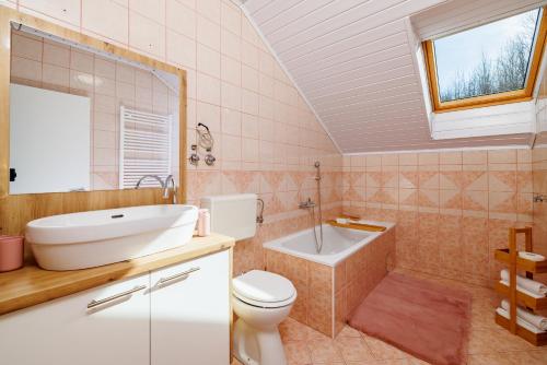a bathroom with a sink and a toilet and a tub at Apartmani Anđelić- Fužine 1 in Fužine