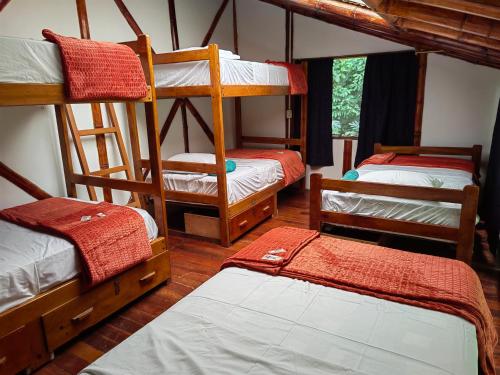 a room with four bunk beds in a cabin at Wisdom Forest Lodge in Tena