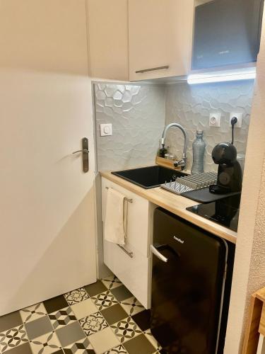 Cuisine ou kitchenette dans l'établissement Studio Le Central 350 m de Gare Lyon Part-Dieu, Navette Stade et Arena ,Eurexpo Aéroport- Bus Direct Centre Ville