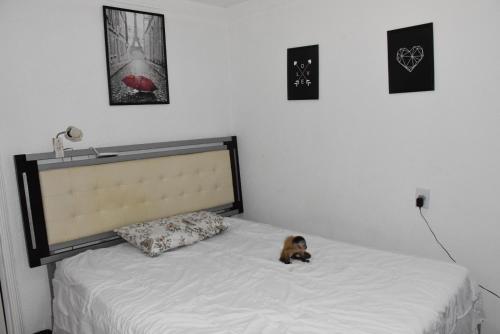 Katil atau katil-katil dalam bilik di Hostel Cascavel