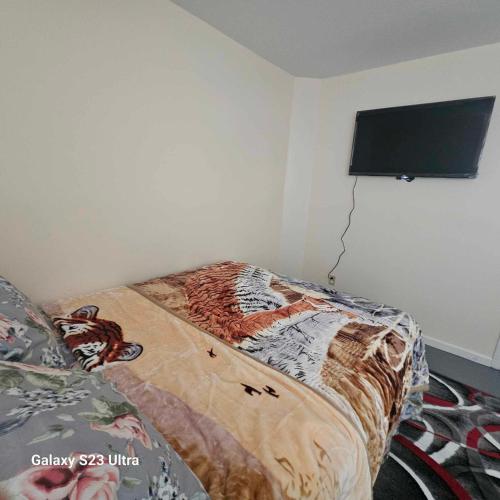 a bedroom with a bed and a flat screen tv at Room G DIVINE VILLA AND RESORT, 6 MINS TO AIRPORT, 4MINS TO PENN STATION. in Newark