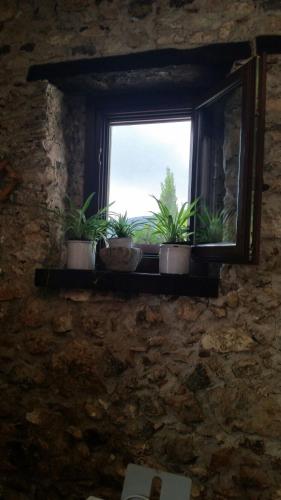 Gallery image of Agrestis Domus in San Giovanni a Piro
