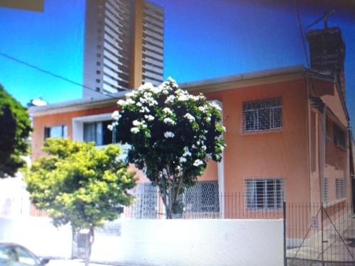 two trees in front of a house with a building at Quartos em apartamento rústico e aconchegante in Recife