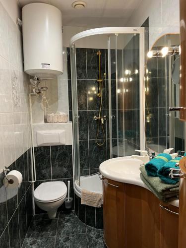 y baño con ducha, aseo y lavamanos. en Apartament Piwna52, en Gdansk
