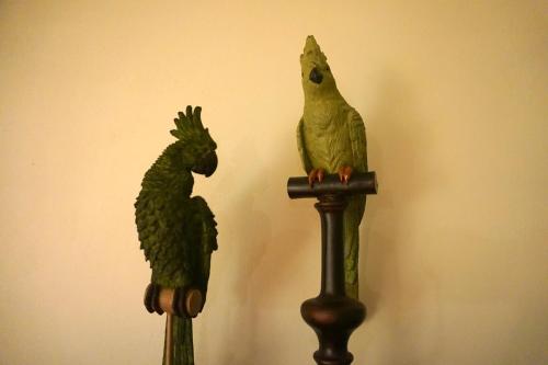 two green parrots sitting on top of a pole at Caraibe Créol' Keys in Port-Louis