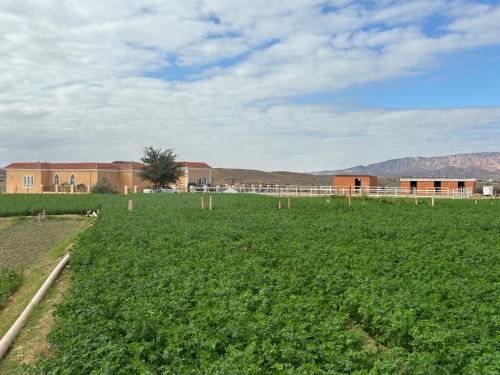 a large field with a building and mountains in the background at أستراحة أريـــان in Gharayfah