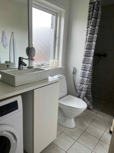 La salle de bains est pourvue de toilettes, d'un lavabo et d'un miroir. dans l'établissement Butyfull Summerhouse In Gilleleje Dk, à Gilleleje