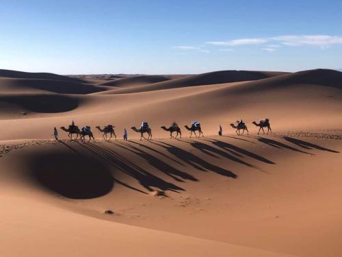a group of people riding camels in the desert at Luxury Bedouin Camp in Merzouga