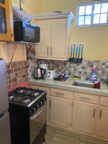 a kitchen with a stove and a sink at Lusignan selfcontain apart two br and onebath in Georgetown