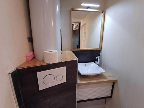 een badkamer met een wastafel en een spiegel bij ô vive studio in Monnetier-Mornex