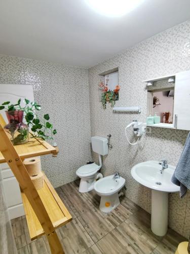 a bathroom with a toilet and a sink at Vila lac lll in Năvodari