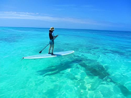a person on a paddle board in the ocean at AVAHOUSE アバハウス in Miyako Island