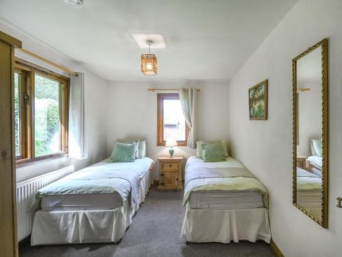 a bedroom with two beds and a mirror at Pine Lodge - Uk46679 in Highley
