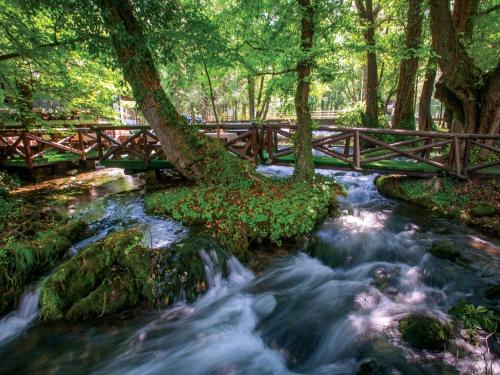 Φωτογραφία από το άλμπουμ του Garni Hotel Vila Drina σε Perucac