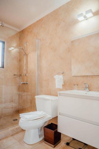 a bathroom with a toilet and a shower and a sink at Gold coast elegance with private pool in Noord