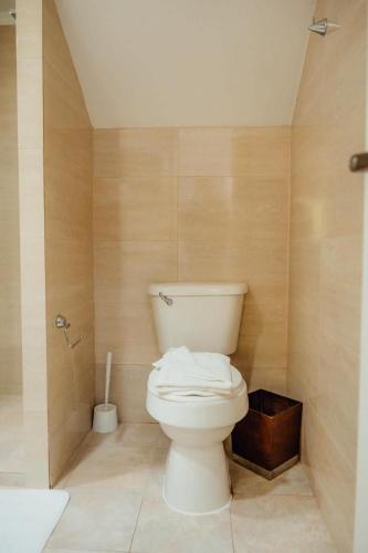 a bathroom with a white toilet and a shower at Gold coast elegance with private pool in Noord