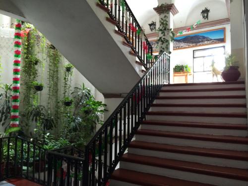a staircase in a house with plants at Hotel Estelar in Taxco de Alarcón
