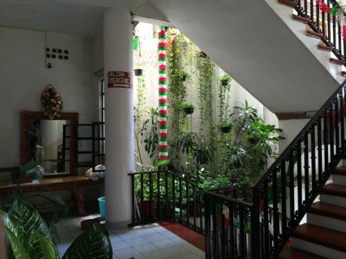 a staircase in a house with plants on the wall at Hotel Estelar in Taxco de Alarcón