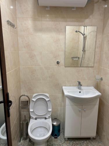 a small bathroom with a toilet and a sink at КЪЩА ЗА ГОСТИ ПЕРЛА in Belogradchik