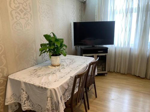 Apartment at Hasan Aliyev في باكو: طاولة مع نبات الفخار والتلفزيون