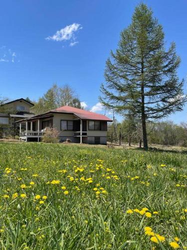 a house on a hill with a field of flowers at Kitakaruizawa Morino Bessou NO7 in Kita-karuizawa