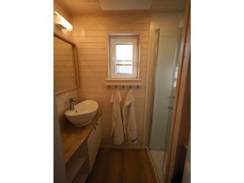 a small bathroom with a sink and a shower at Houseboat Lilliput in Stralsund