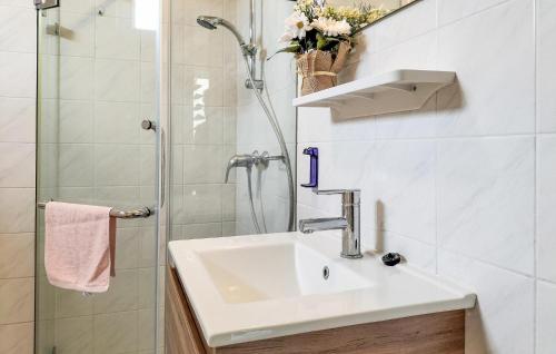 een badkamer met een wastafel en een douche bij Nice Home In Vlagtwedde With Indoor Swimming Pool in Vlagtwedde