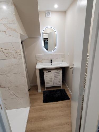 a bathroom with a sink and a mirror at Joli appart 2 chambres en centre ville - parking et jardin in Albi