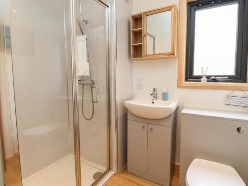 a bathroom with a shower and a sink at Ash Lodge in Morpeth