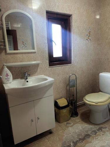 a bathroom with a sink and a toilet and a mirror at Casa Ghețari in Gheţari