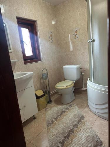 a bathroom with a toilet and a sink and a shower at Casa Ghețari in Gheţari