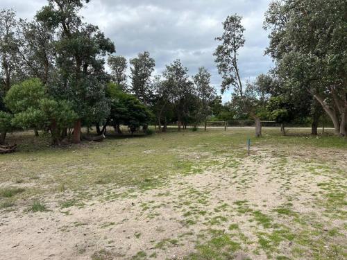 a field with trees and a dirt road at The Bloom in Seaspray