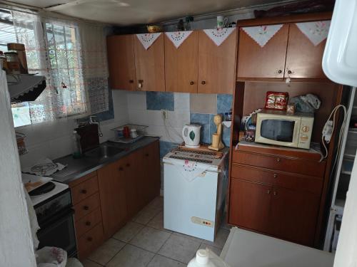 een kleine keuken met een magnetron en een koelkast bij ΜΟΝΟΚΑΤΟΙΚΙΑ ΣΑΛΑΜΙΝΑ in Áyios Yeóryios