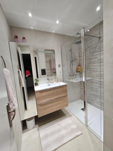 une salle de bain avec un lavabo et une douche dans l'établissement Superbe vue mer à 50 mètres des plages, à Cannes