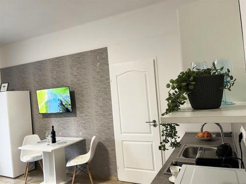 Bereg Szíve Apartmanにあるキッチンまたは簡易キッチン