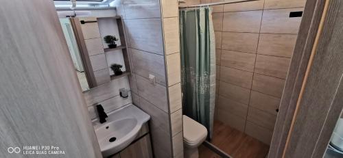 a bathroom with a shower and a toilet and a sink at Η Αρμενόπετρα in Yerolimin