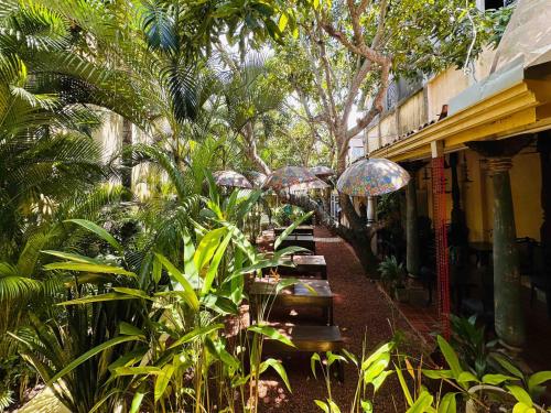 Jardín al aire libre en Mango House - Galle Fort